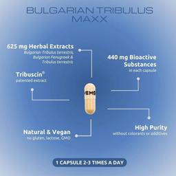 Bulgarian Tribulus Maxx 60 caps 4